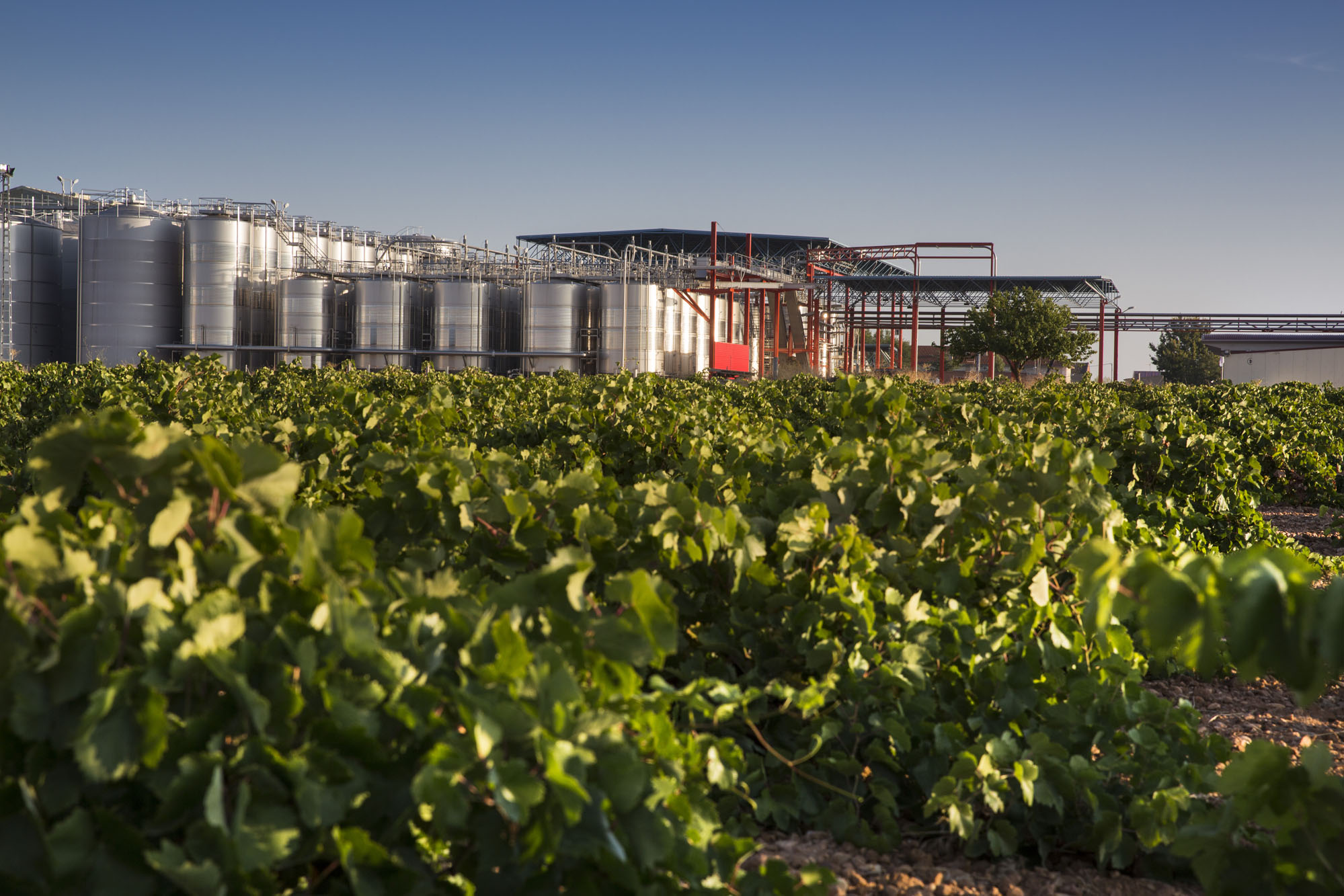 Winery in La Mancha